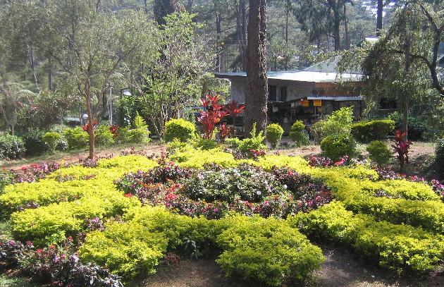 Bangalore To Yercaud Package Tour Bangalore To Yercaud Package Tour